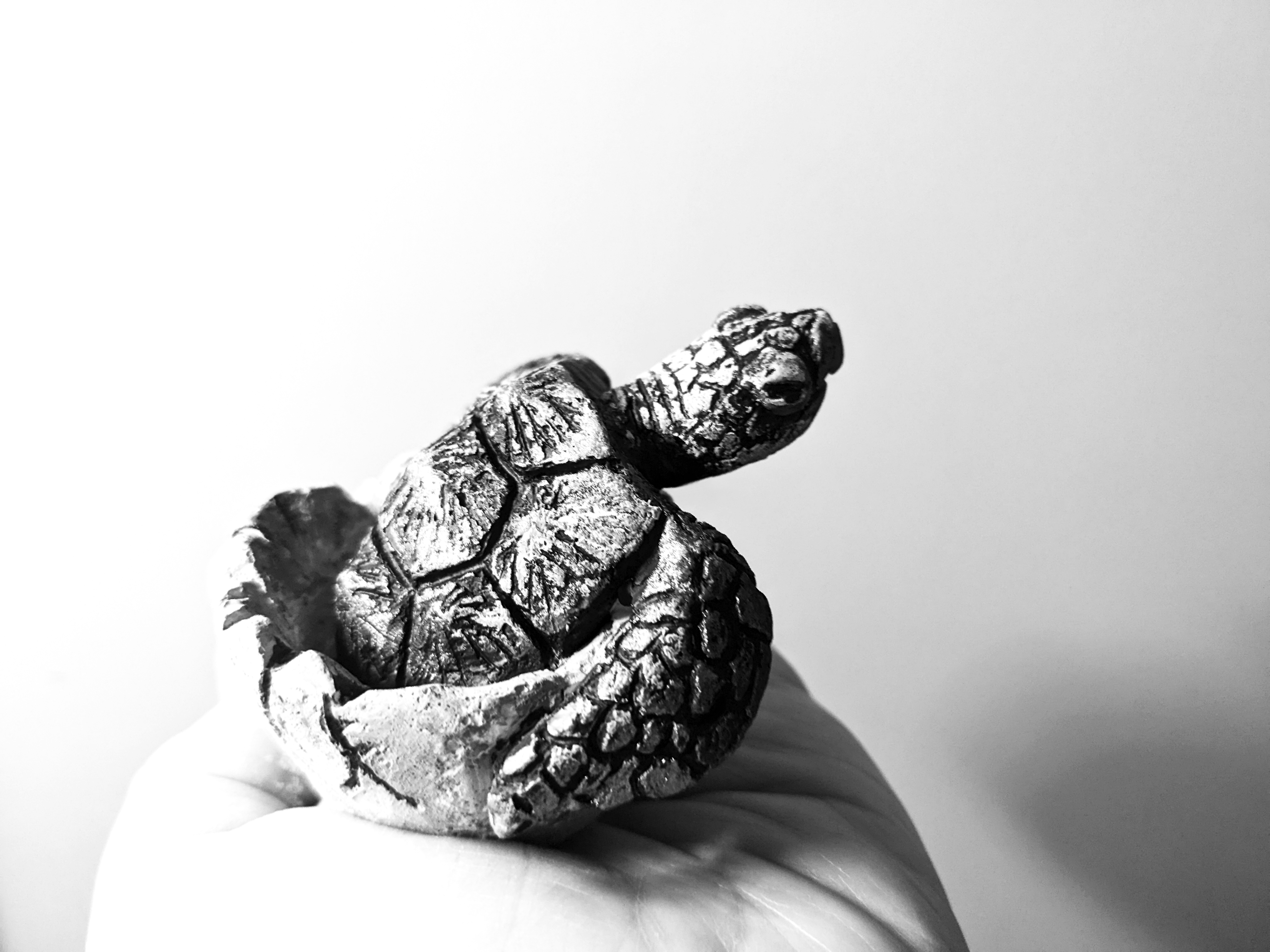 hatching turtle sculpture