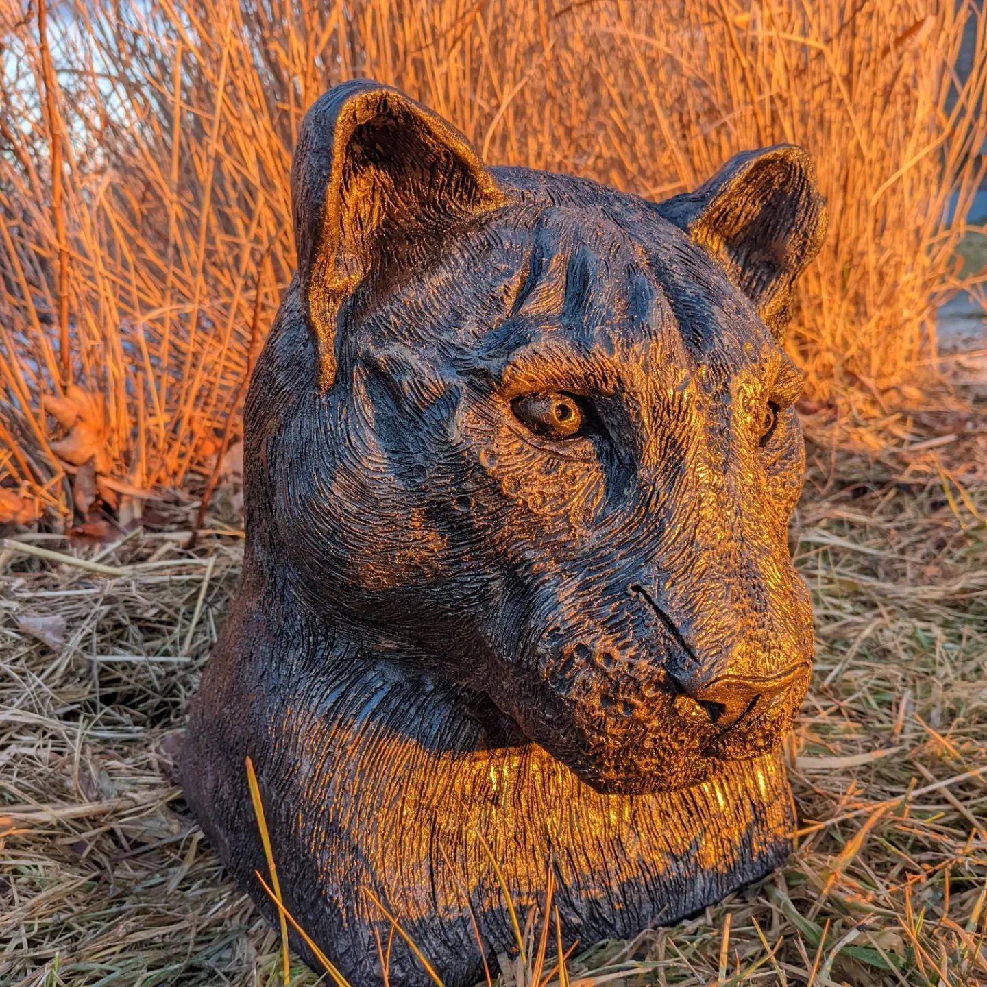 Leopold the Amur Leopard by Elisa Vanelli Sculptor